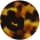 Ella Pecan Tort BNA225_C761OPT by Bailey Nelson